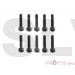 MSH71102	M2x10 Socket Head Cap Screw  Protos Max 700/800   